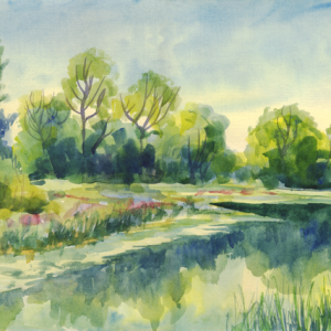 Basic Watercolor Classes for Adults
